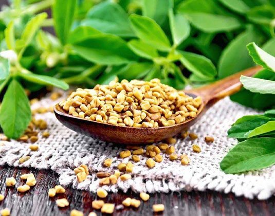 14-Fenugreek-Seeds-img